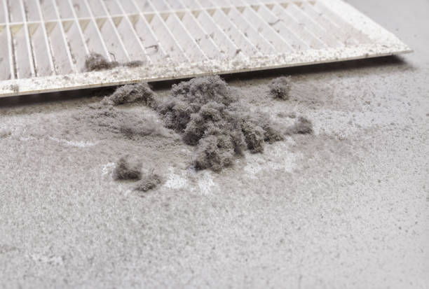 Best HVAC Air Duct Cleaning  in Adamstown, MD
